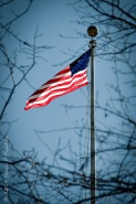 Framed by tree branches, the American flag flies against a deep blue sky.