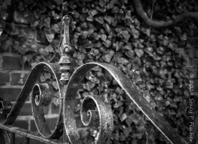 Converted b&w photo of iron gate, now post-processed in Lightroom.