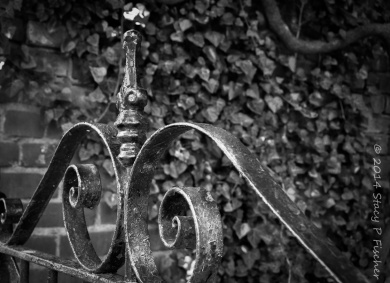 Photo of iron gate after converting to black and white in Lightroom.