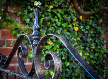 Photo of iron gate after color post-processing in Lightroom.