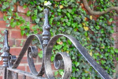 Top finial and scrollwork of an iron gate against a backdrop of brick and ivy; in color.