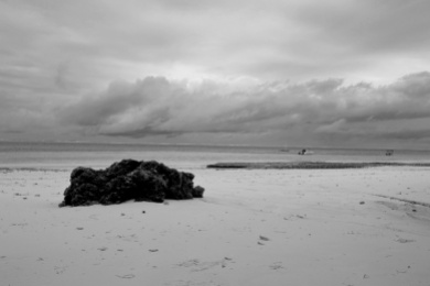 Bamburi Beach (After), Manal Ali, A Single Shutter