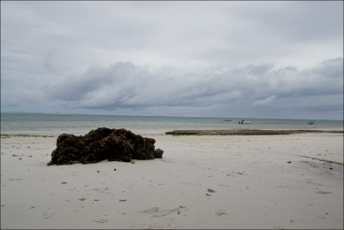 Bamburi Beach (Before), Manal Ali, A Single Shutter