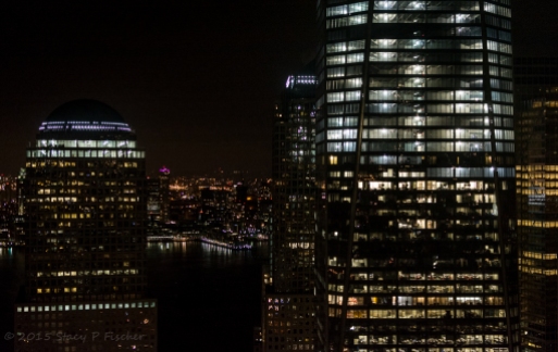 One World Trade Center and surrounding buildings at night.