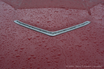 Red Thunderbird hood after rain, unretouched file